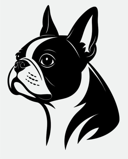 Boston Terrier Face SVG